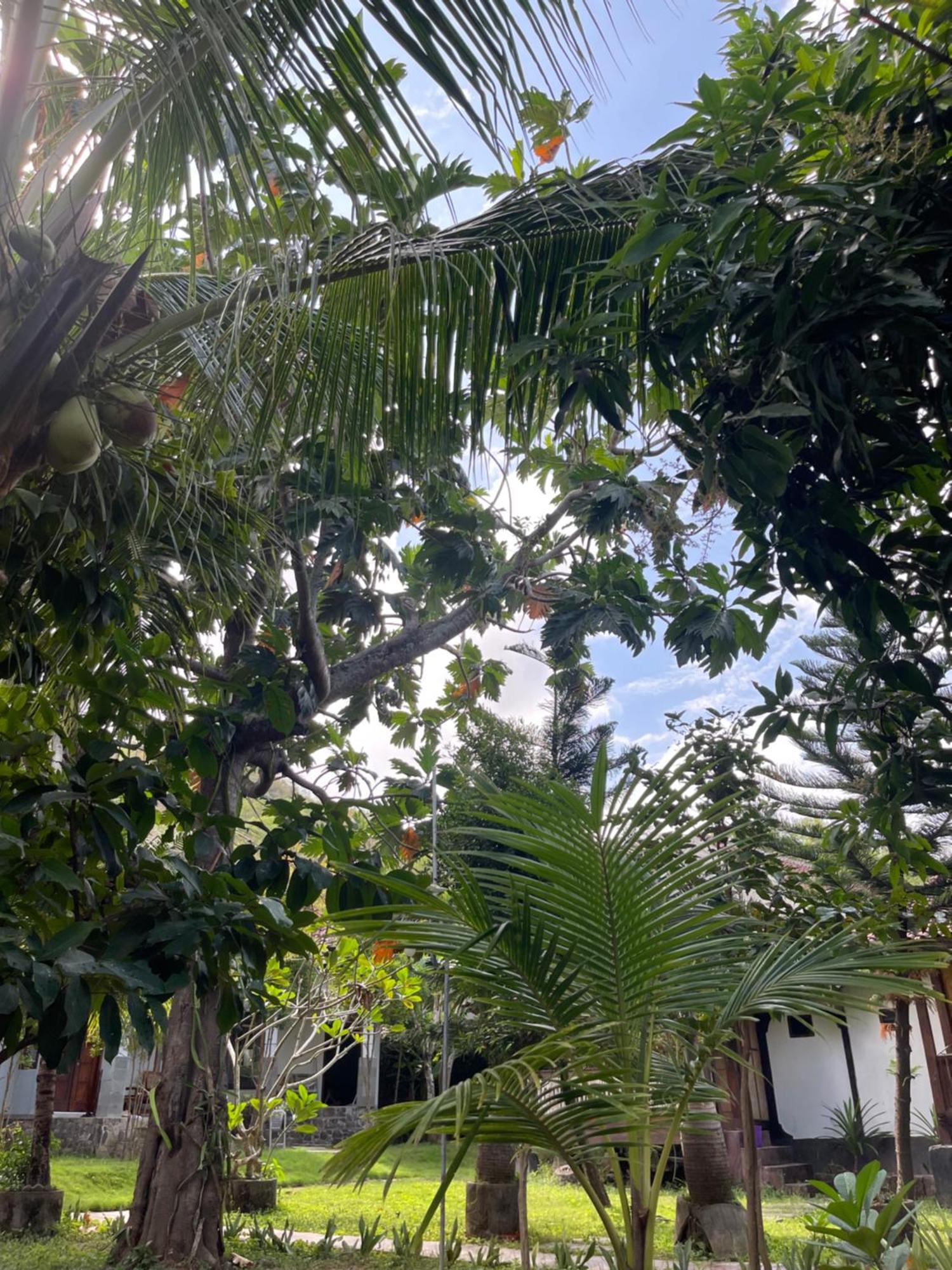 Tri Putri Homestay Kuta  Exterior foto